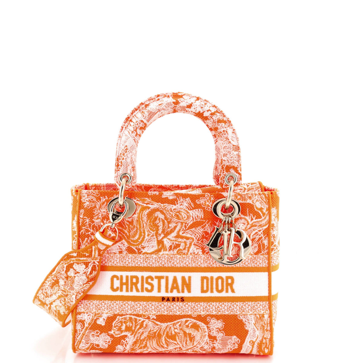 Toile de Jouy Lady D-Lite Bag Embroidered Canvas