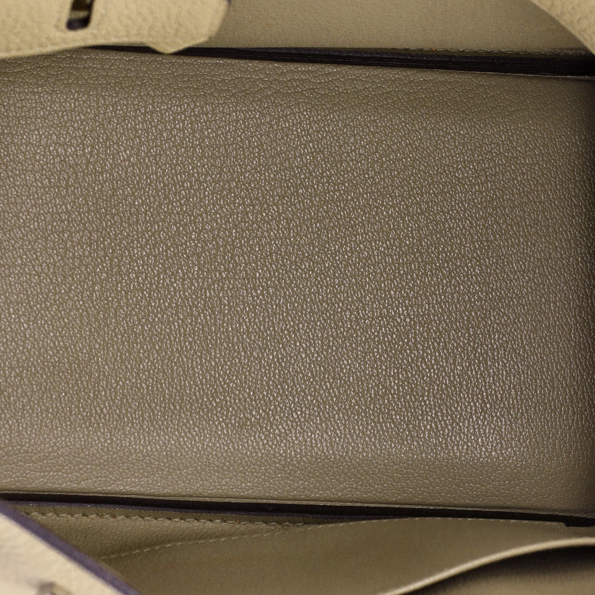 Birkin Handbag Light Togo with Palladium Hardware 25