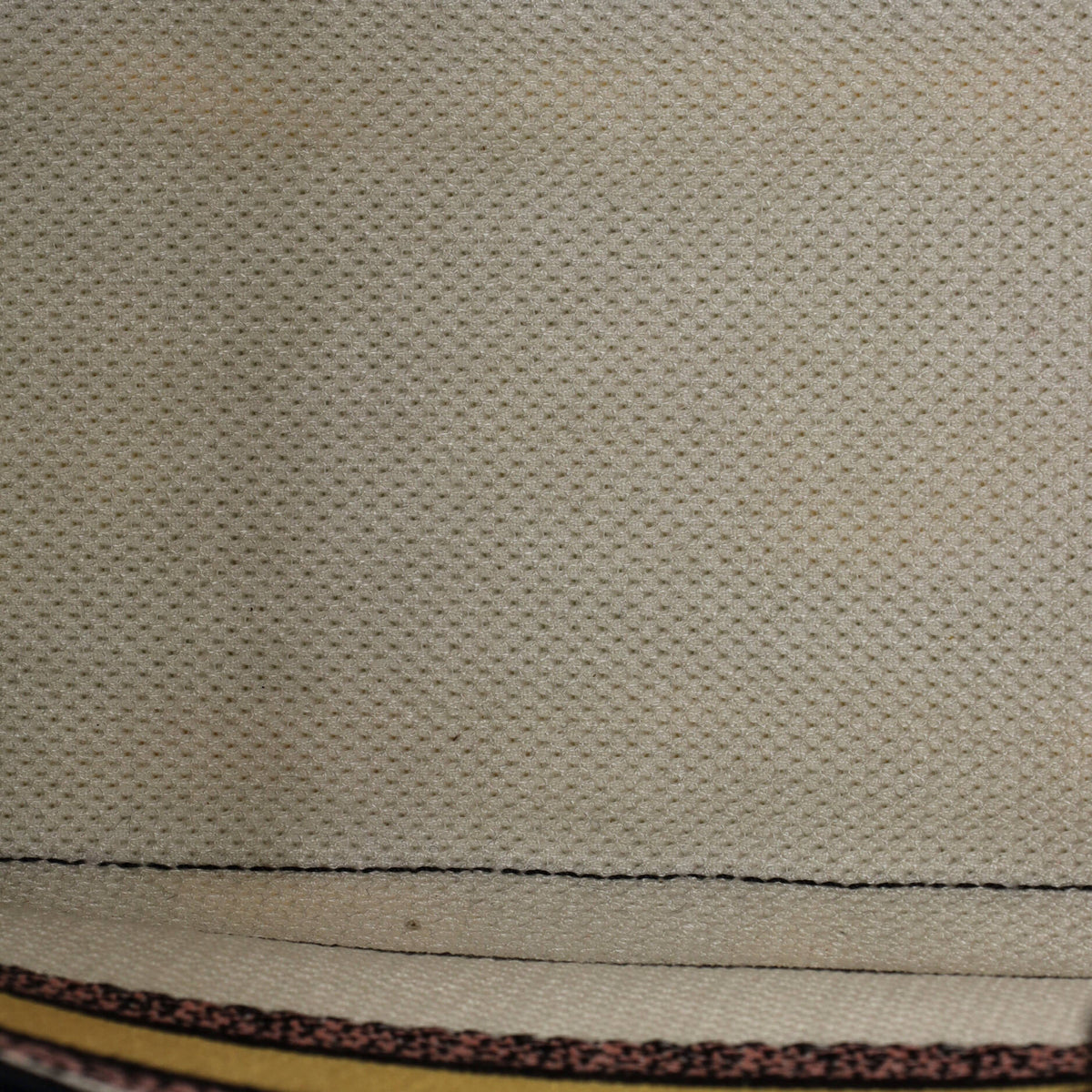 Lady D-Lite Bag Mizza Embroidered Canvas Medium