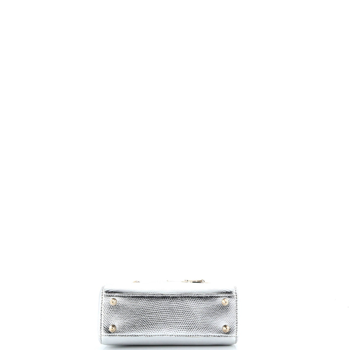 Lady Dior Bag Lizard Small