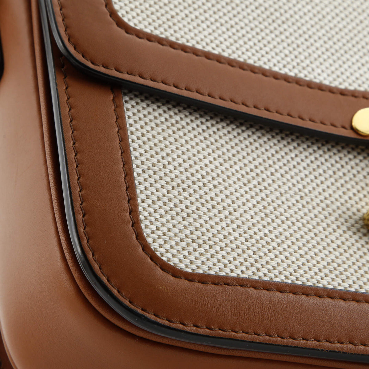 Triomphe Shoulder Bag Canvas with Leather Medium