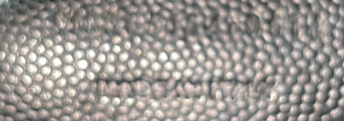 Sac de Jour Bag Studded Leather Small