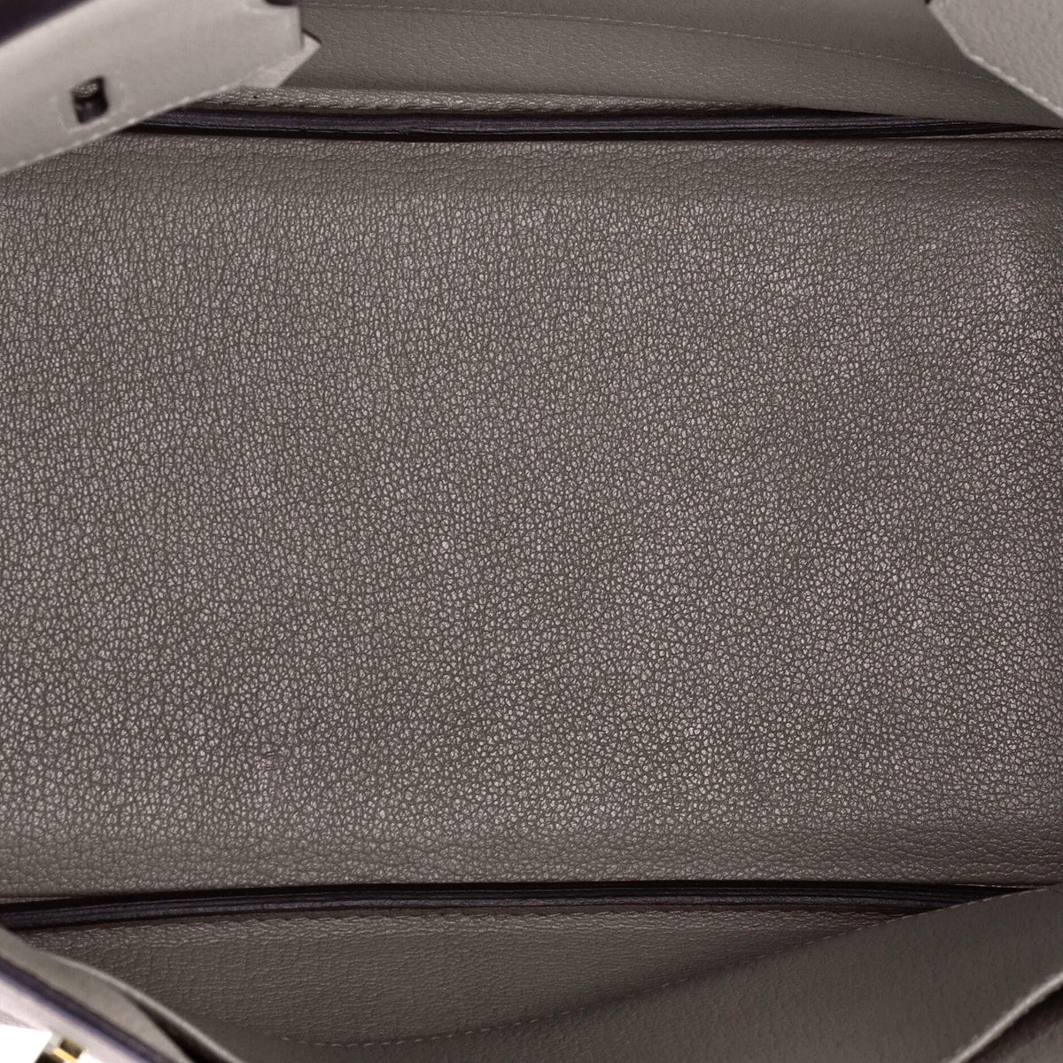 Birkin Handbag Grey Novillo with Gold Hardware 30