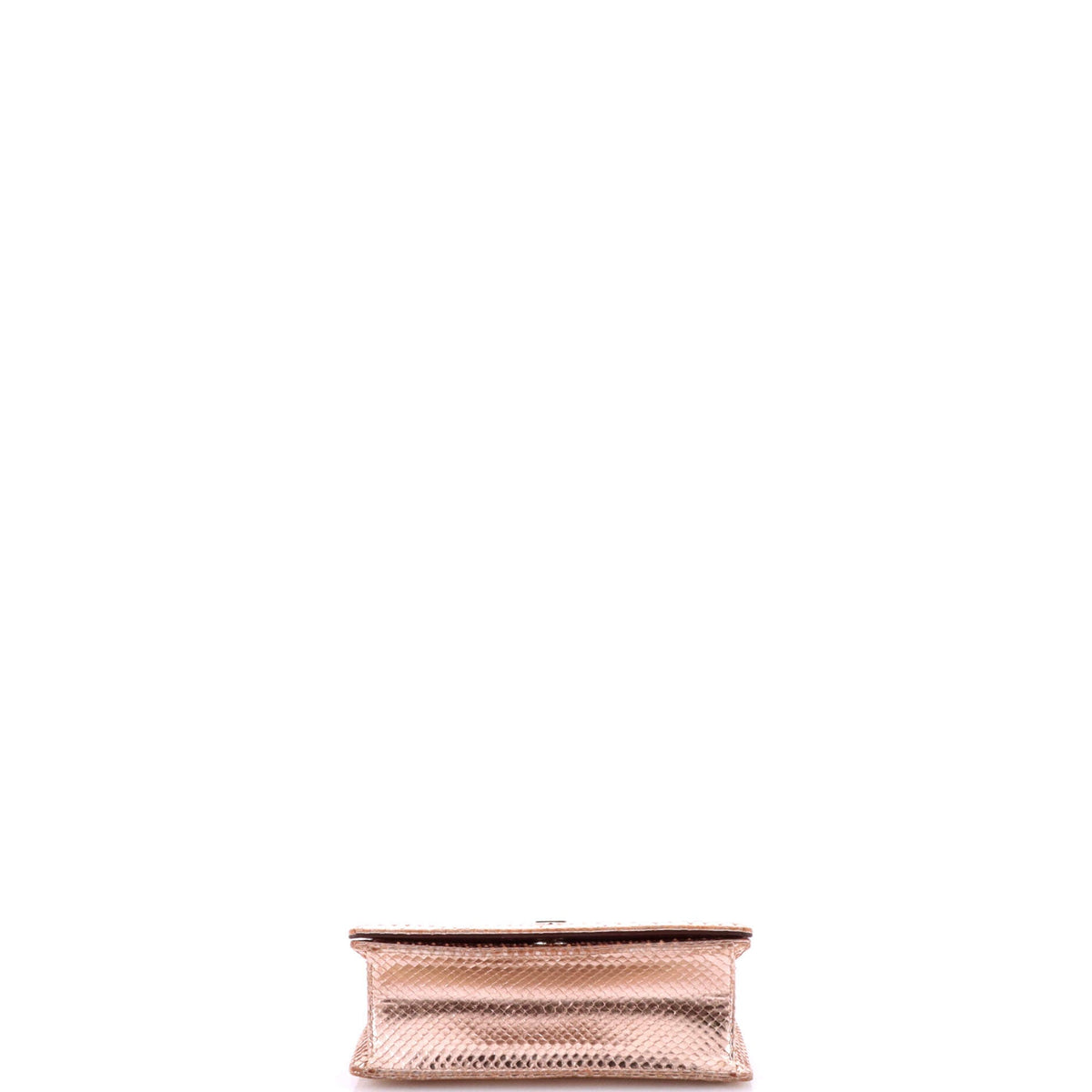 Diorama Flap Bag Python Small
