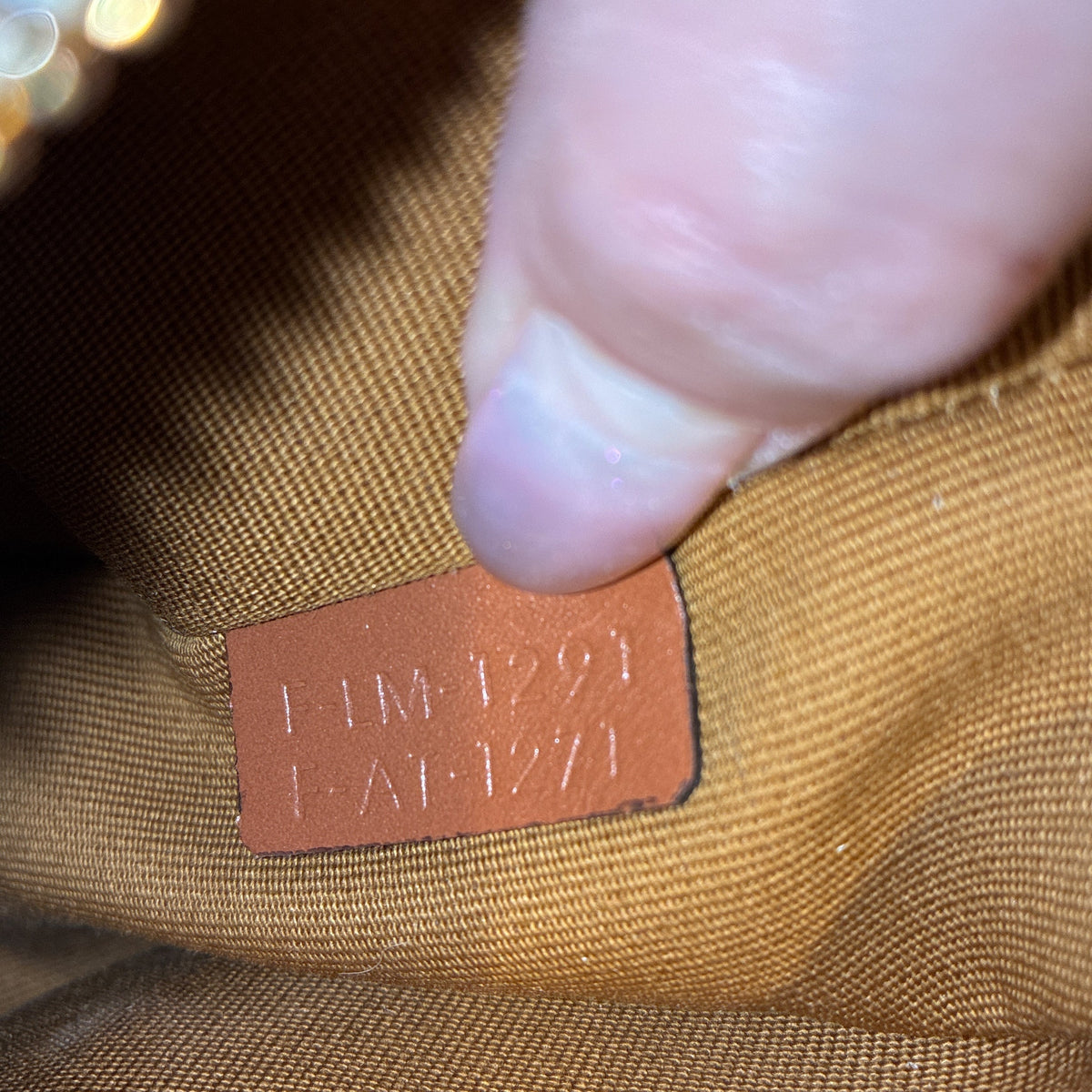 Ava Bag Triomphe Coated Canvas