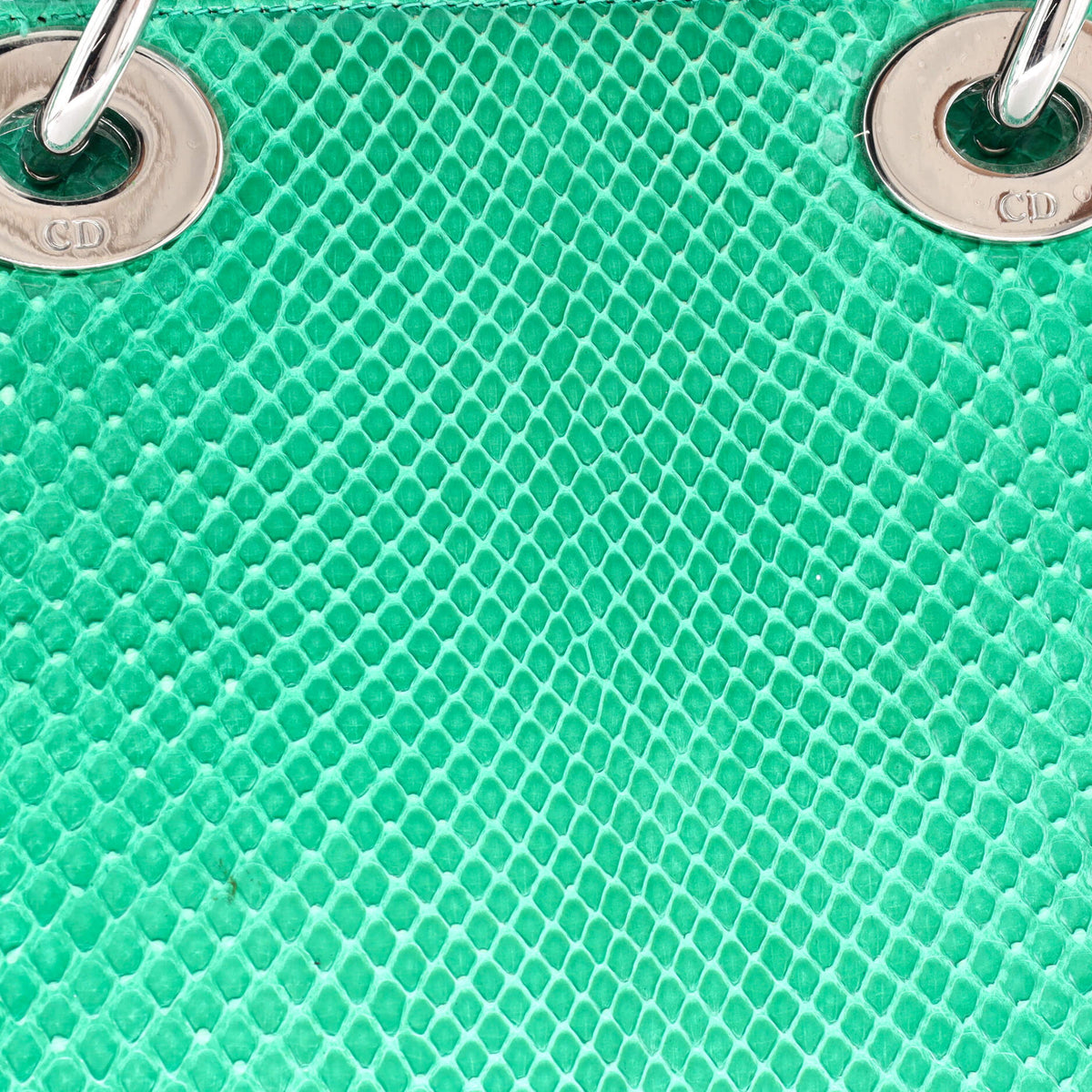 Lady Dior Chain Bag Python Mini