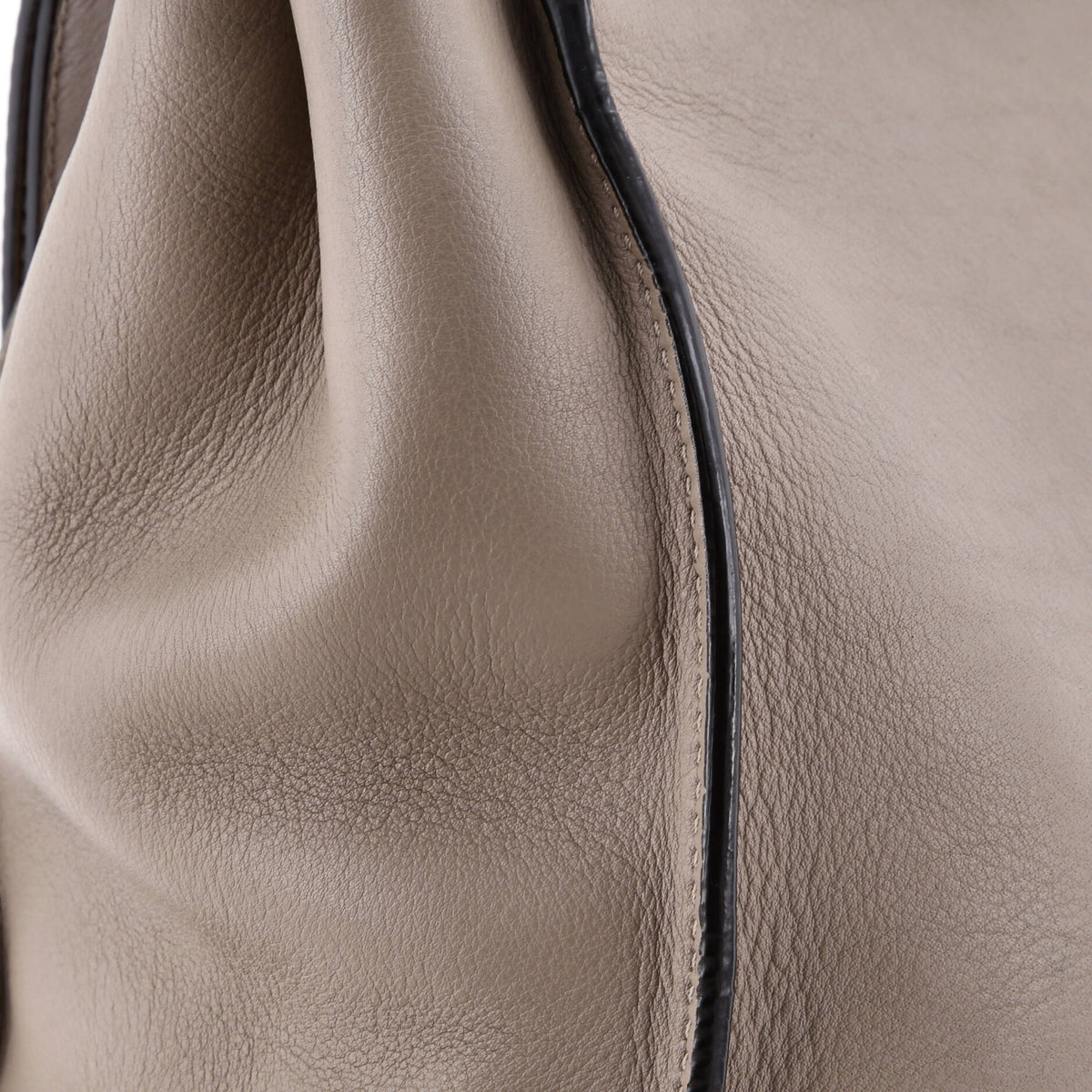 Peekaboo Bag Leather with Plexiglass Detail Regular