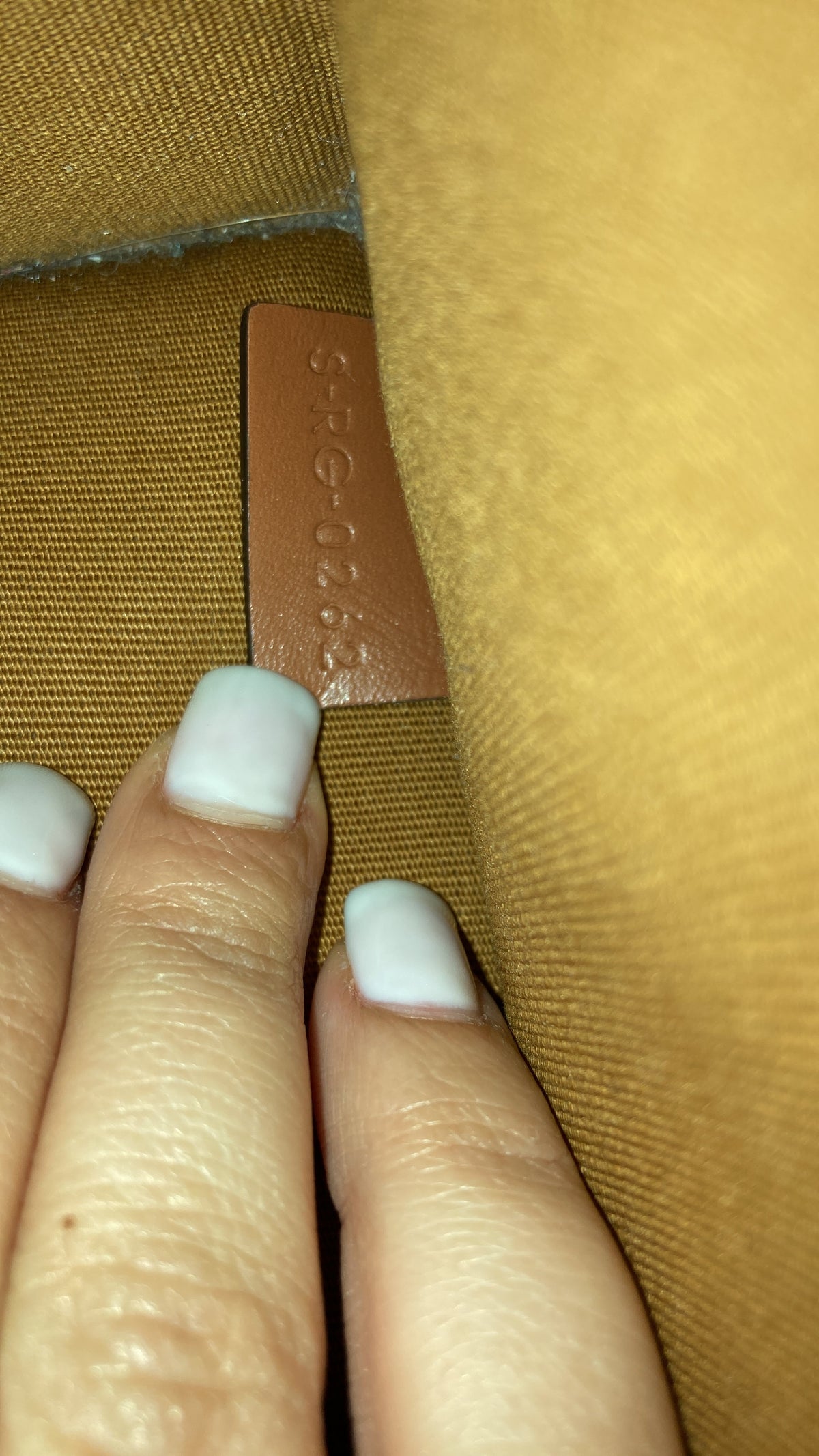 Vertical Cabas Tote Triomphe Coated Canvas Mini