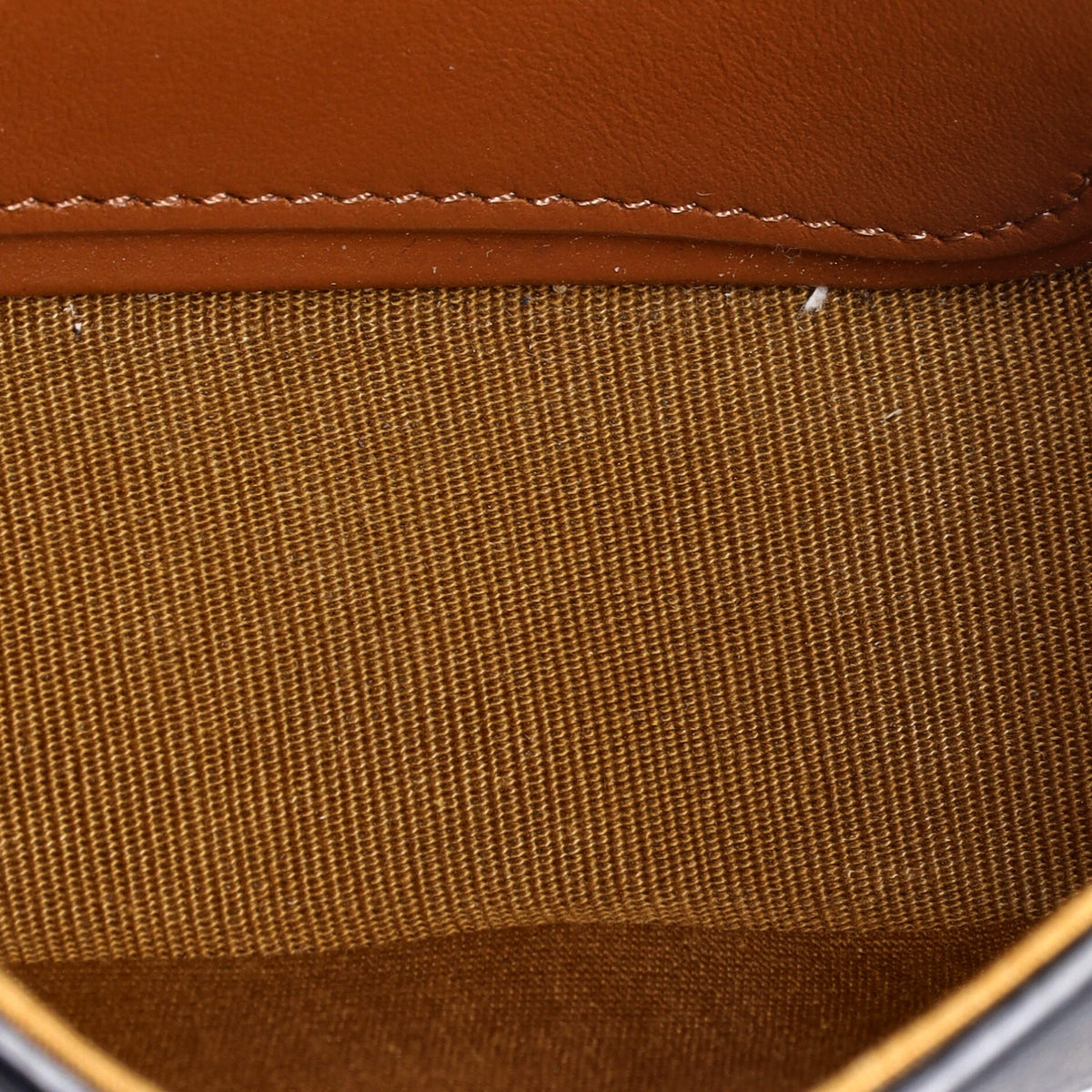 Triomphe Shoulder Bag Triomphe Coated Canvas Mini