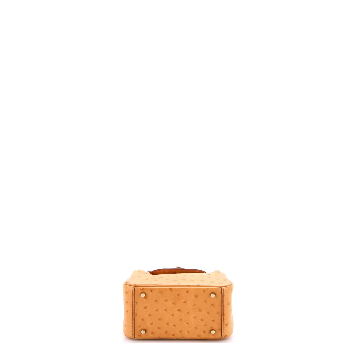 Lindy Bag Ostrich Mini