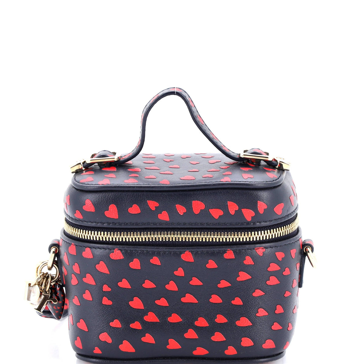 Lady Dior Vanity Case Printed Leather Micro
