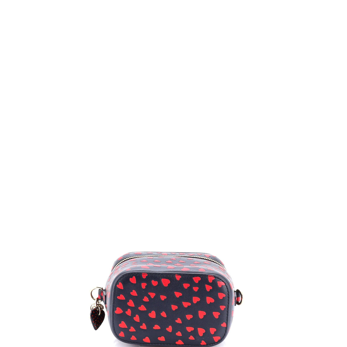 Lady Dior Vanity Case Printed Leather Micro