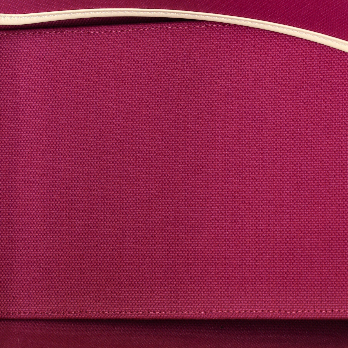 Sac Steeple Tote Toile with Leather 25