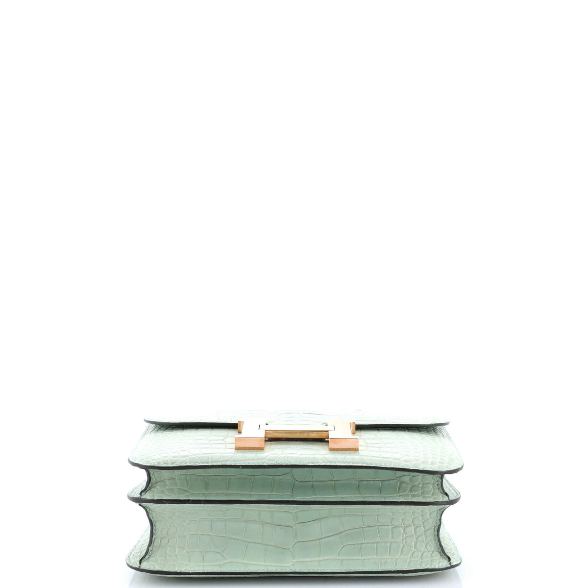 Constance Bag Matte Alligator 24