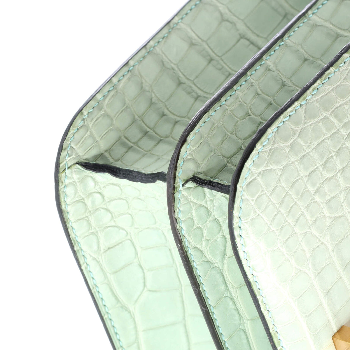 Constance Bag Matte Alligator 24