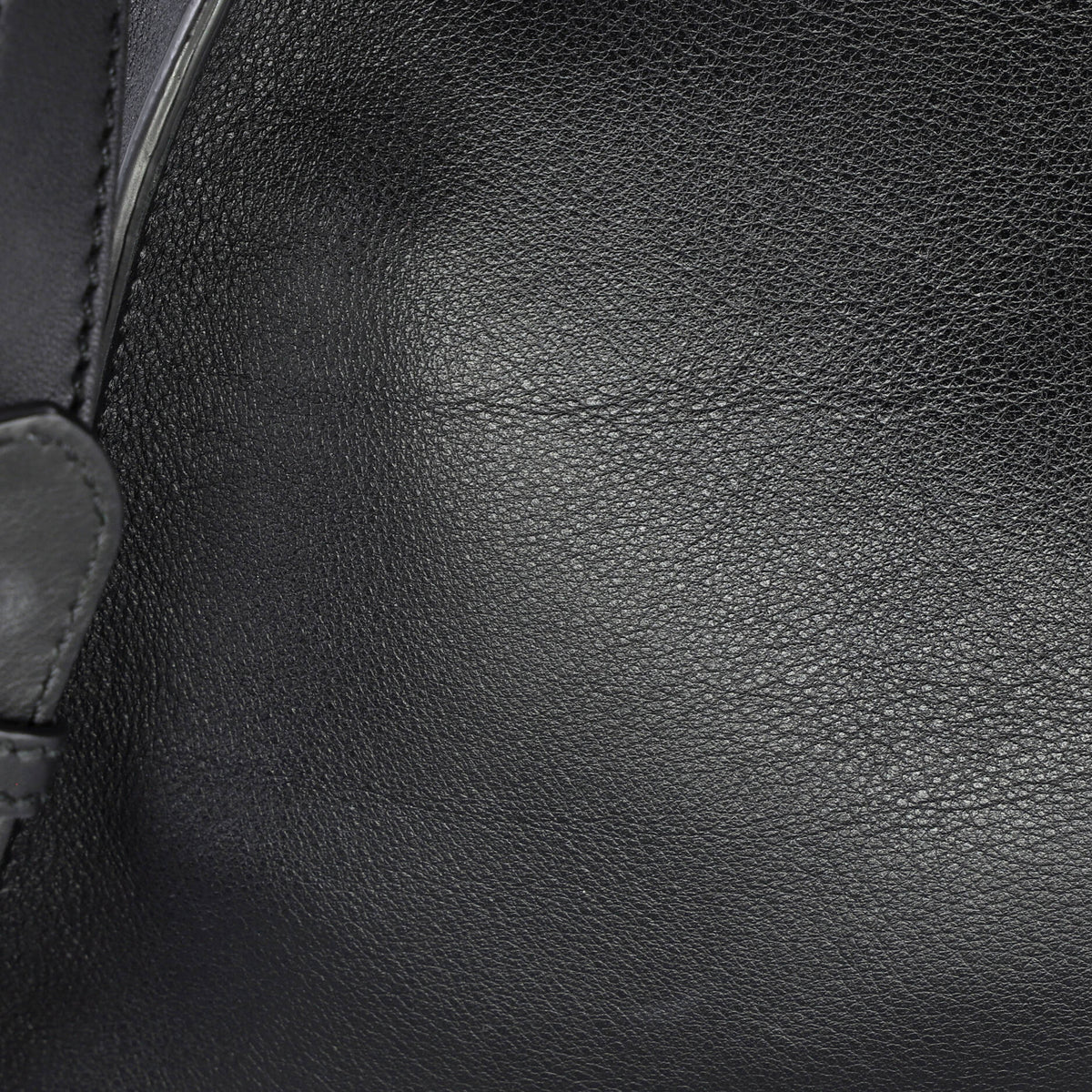 Peekaboo Bag Leather with Plexiglass Detail Regular