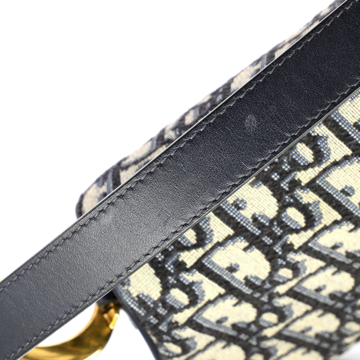Saddle Handbag Oblique Canvas Medium