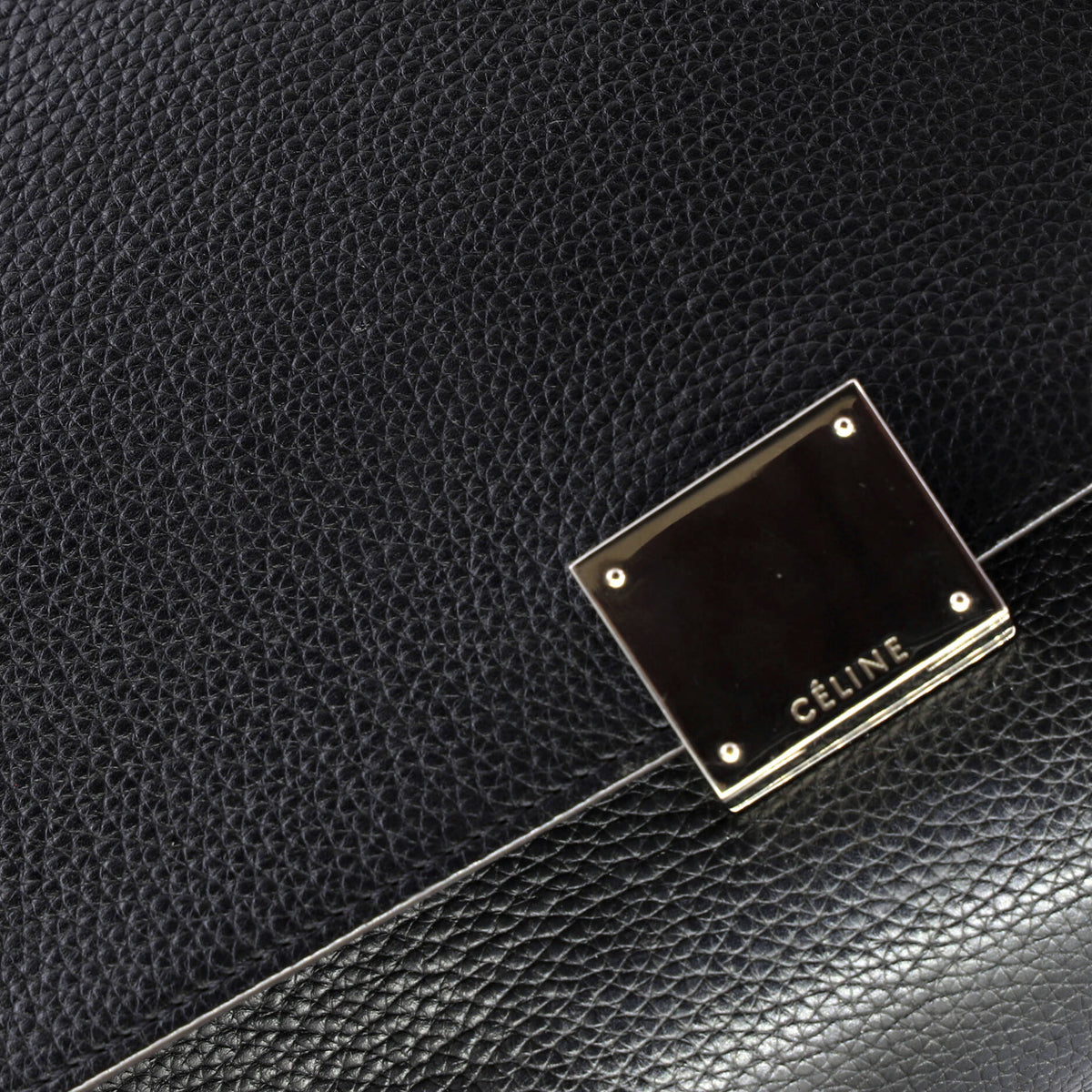 Trapeze Bag Leather Medium