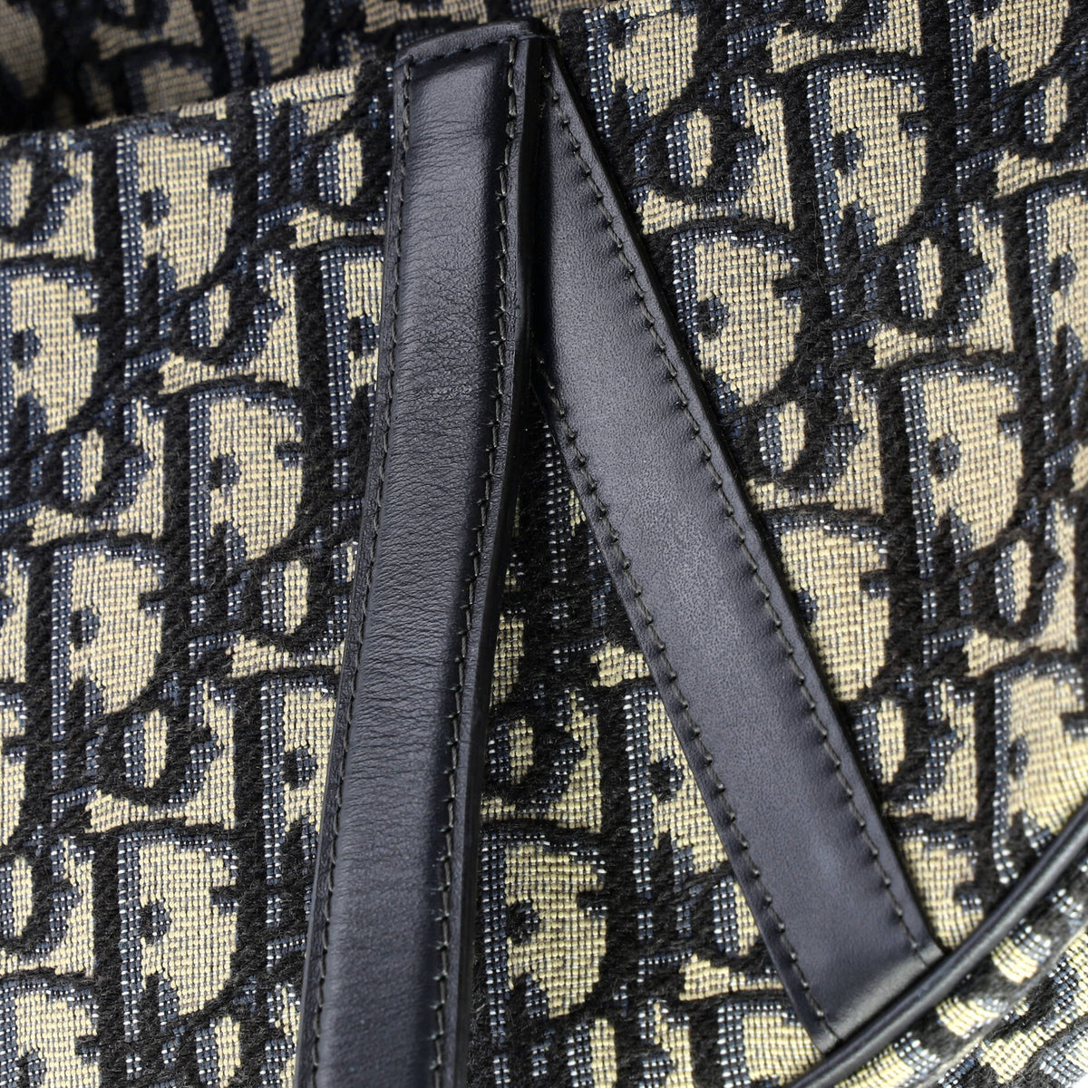 Saddle Handbag with Strap Oblique Canvas Medium