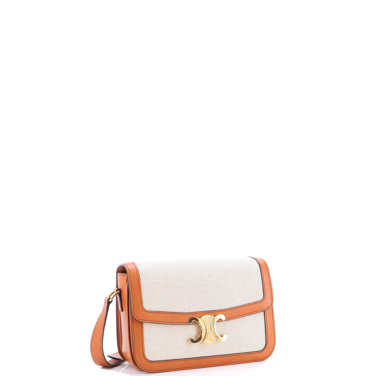 Triomphe Shoulder Bag Canvas with Leather Medium