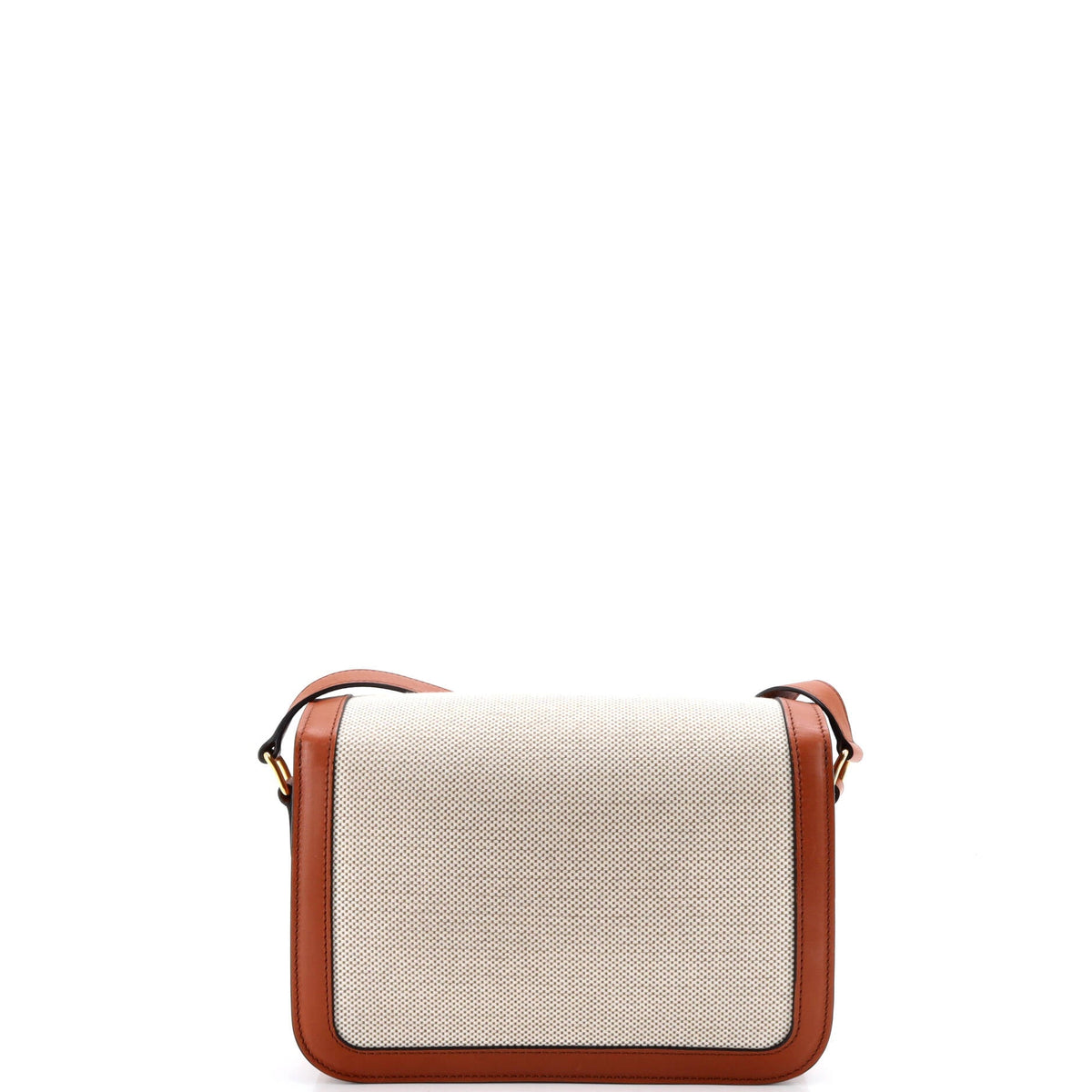 Triomphe Shoulder Bag Canvas with Leather Medium