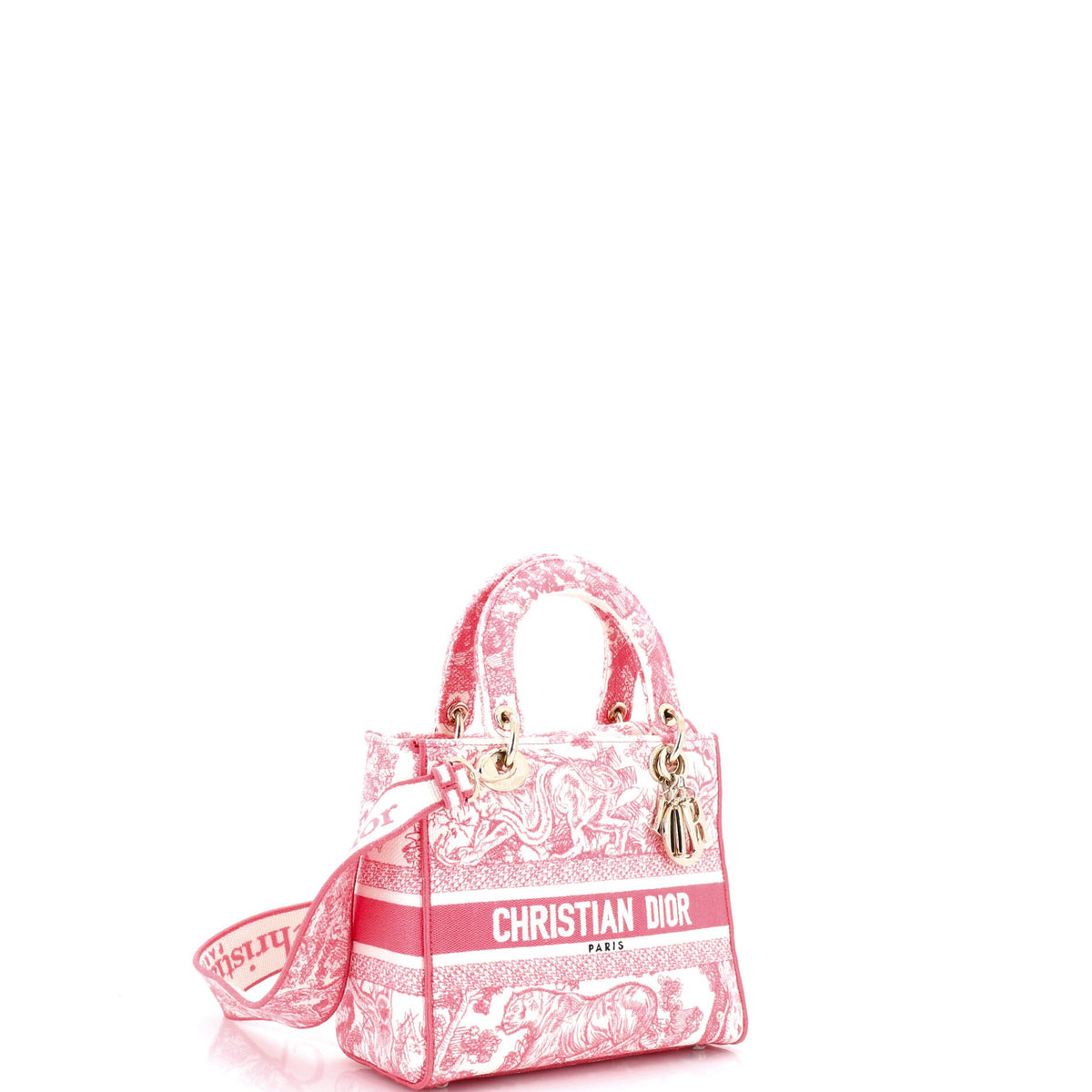 Toile de Jouy Lady D-Lite Bag Embroidered Canvas