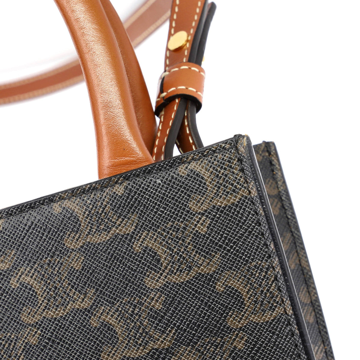 Vertical Cabas Tote Triomphe Coated Canvas Mini