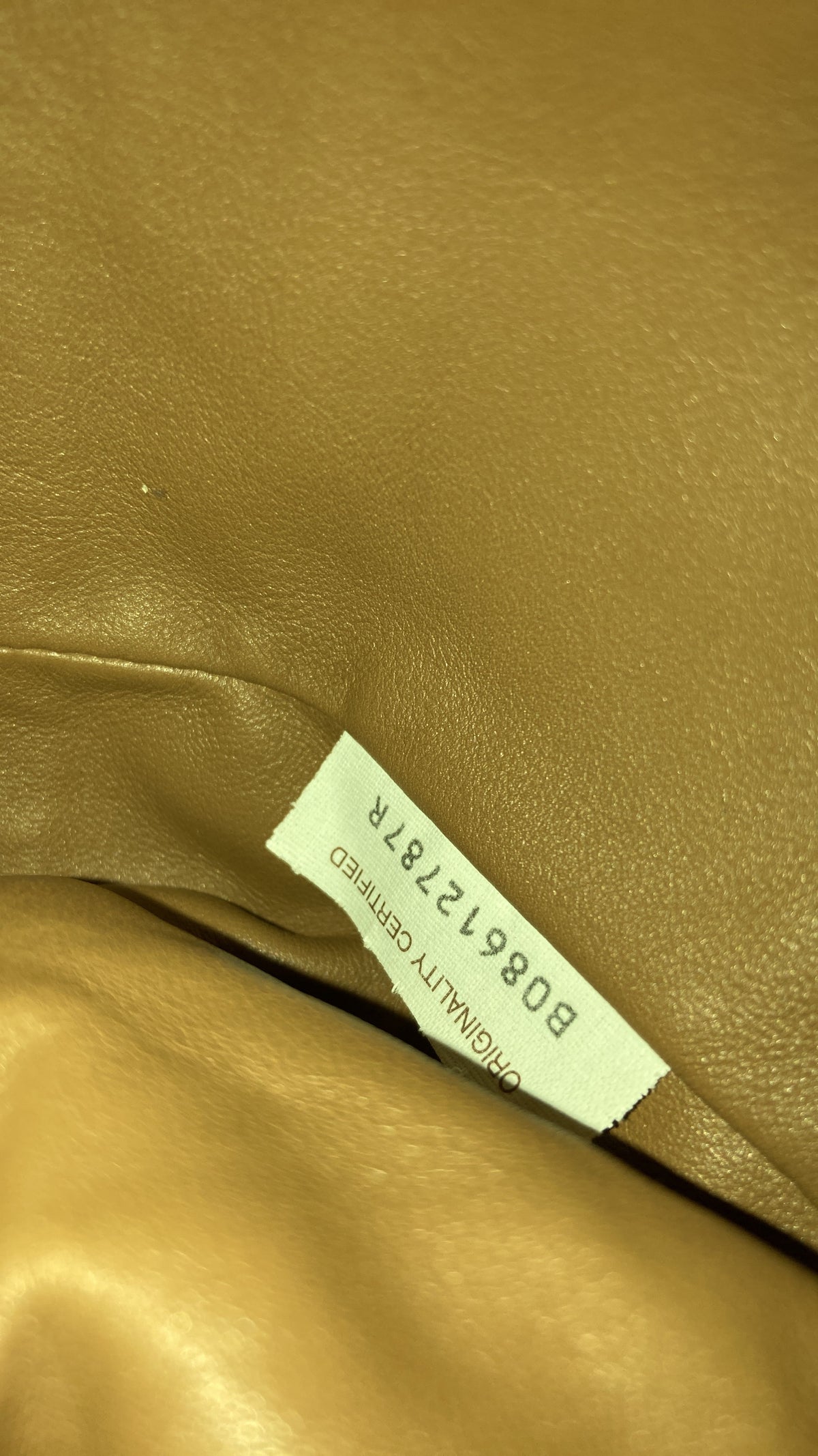 The Pouch Leather Mini