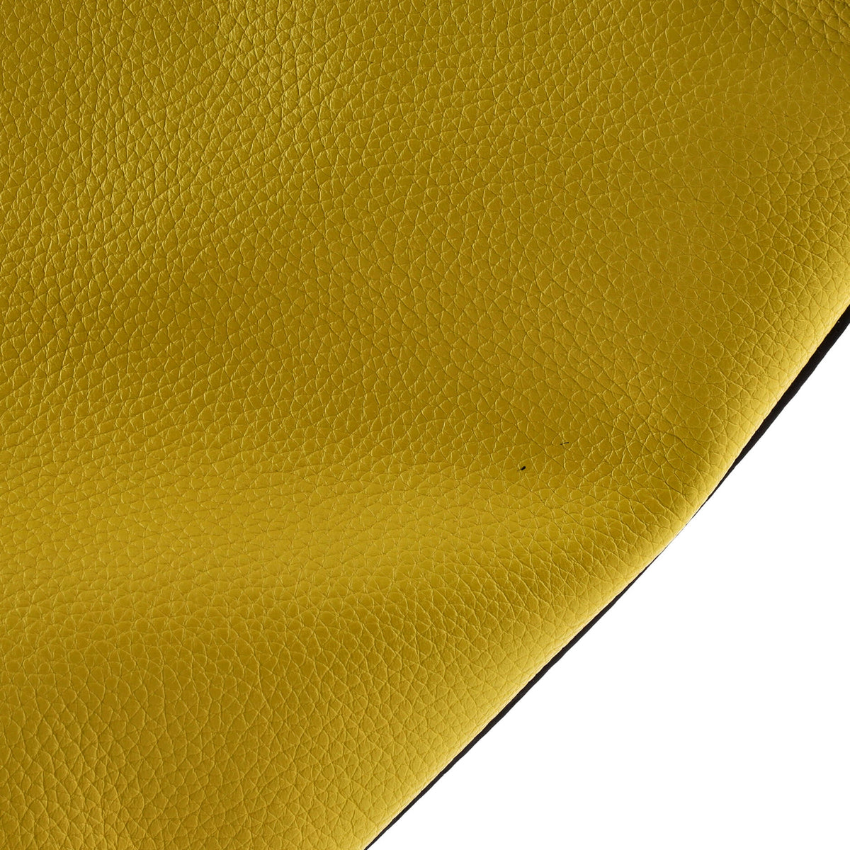 Luggage Bag Grainy Leather Mini
