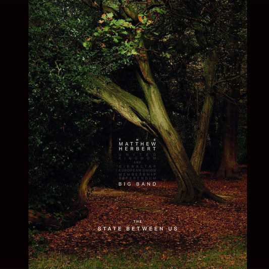 The Matthew Herbert Big Band - The State Between Us 3x Vinyl LP