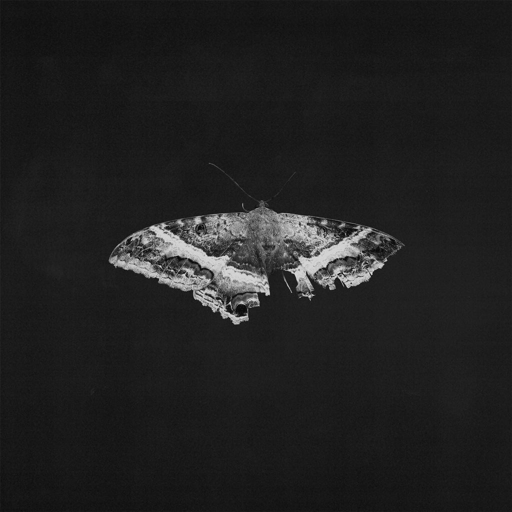 Kendrick Lamar - To Pimp a Butterfly (10 Year Anniversary Edition)