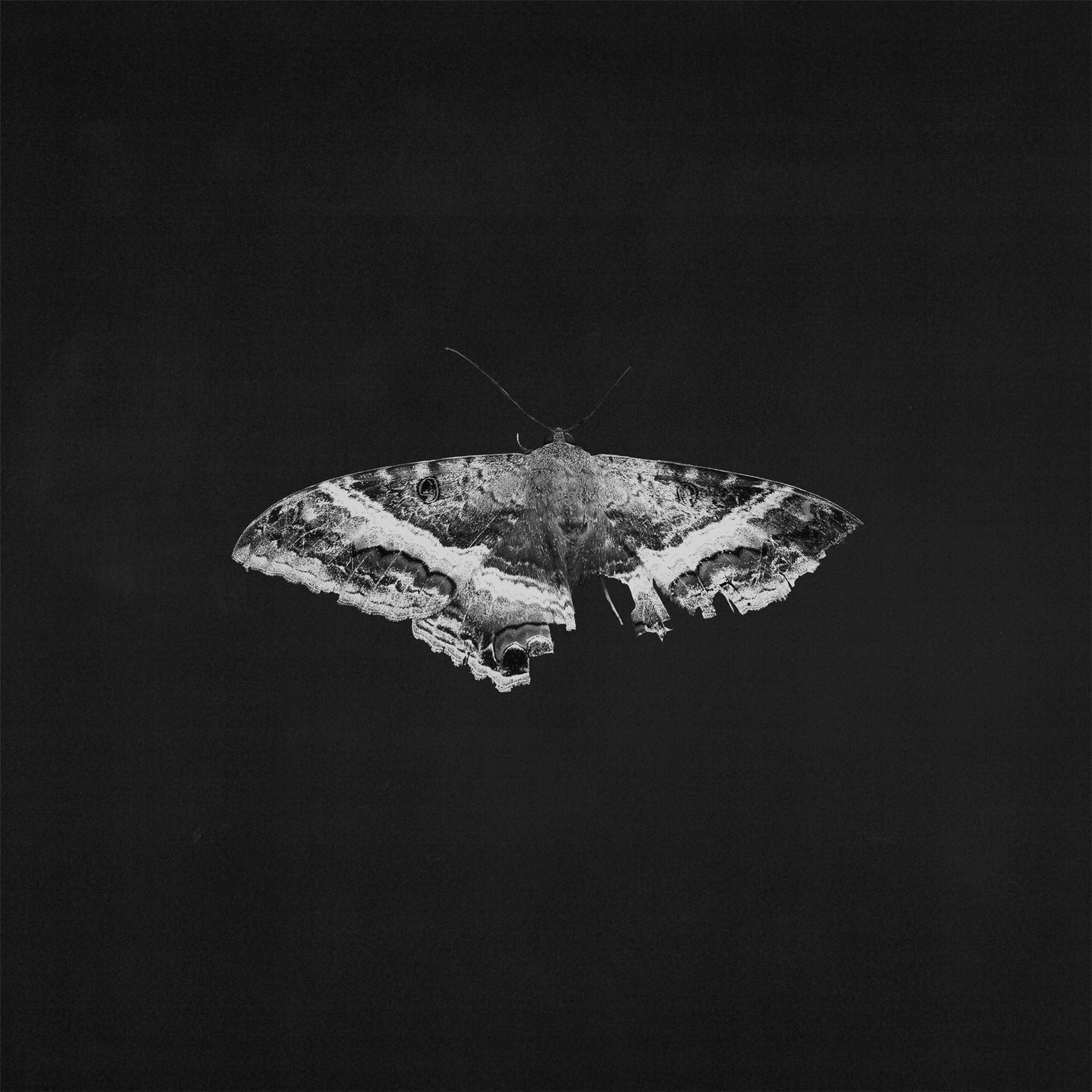 Kendrick Lamar - To Pimp a Butterfly (10 Year Anniversary Edition)