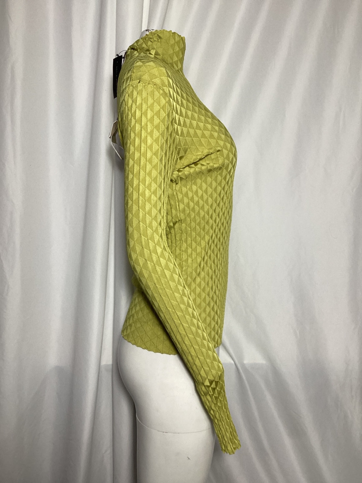Bottega Veneta Dragon Underpinned Turtleneck Pullover in Green Silk
