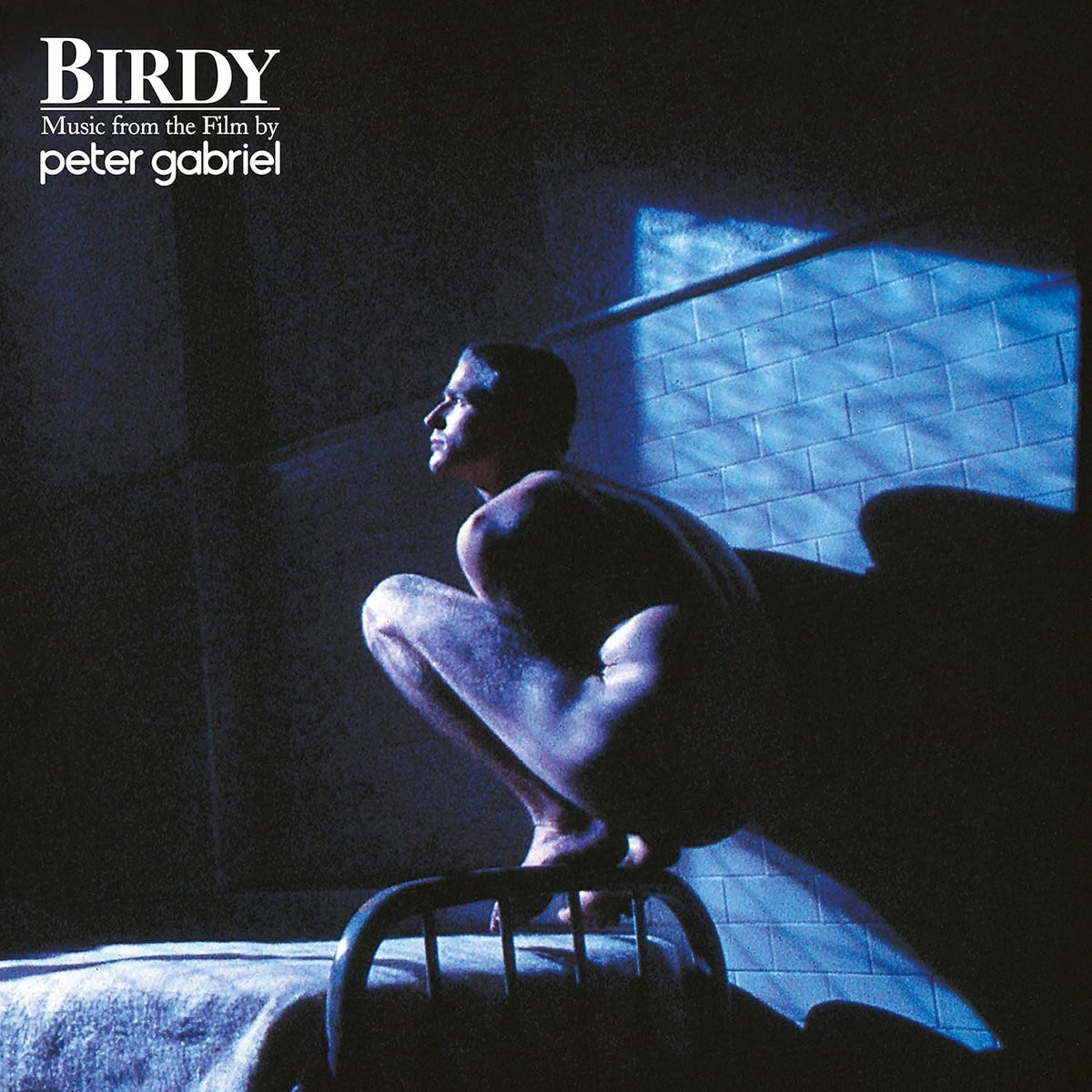 Birdy - Peter Gabriel Vinyl LP