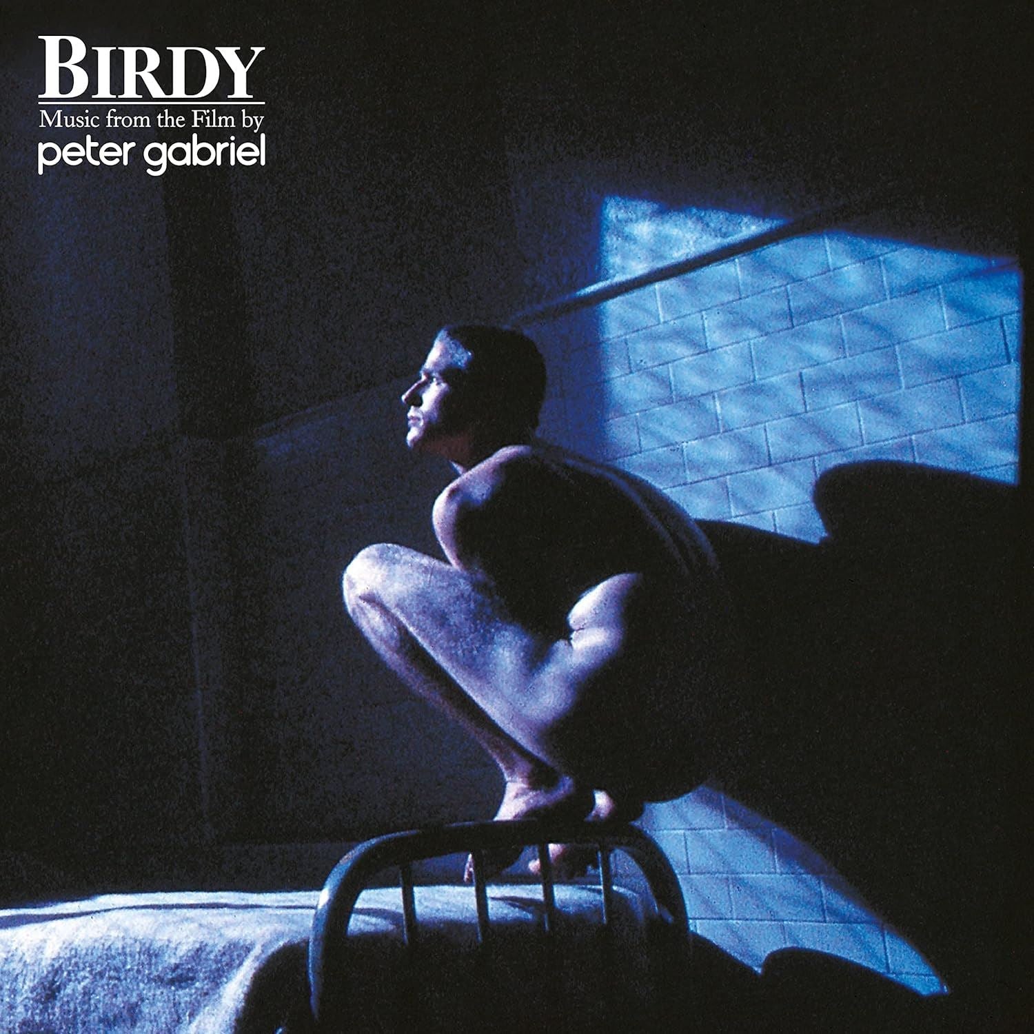 Birdy - Peter Gabriel Vinyl LP
