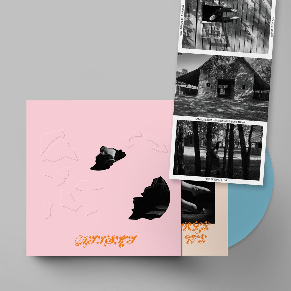 Mitski - The Land Is Inhospitable And So Are We