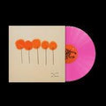 L.S. Dunes - Past lives
