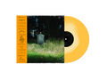 Frank Carter & The Rattlesnakes Dark Rainbow Vinyl LP Indies Honey Edition 2024