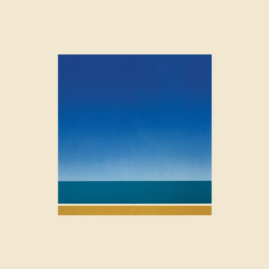 Metronomy - The English Riviera (Instrumentals) Vinyl LP Reissue