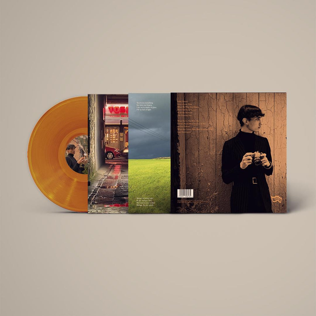 Belle & Sebastian - Late Developers