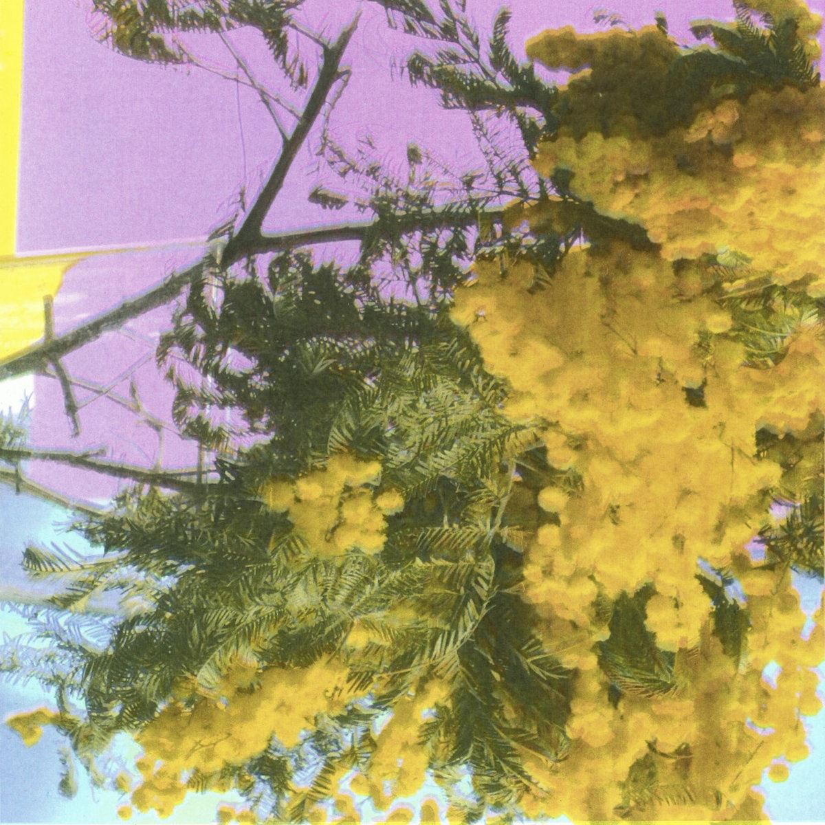 Four Tet - Into Dust (Still Falling) 12" Vinyl Single