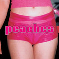 Peaches - The Teaches Of Peaches Vinyl