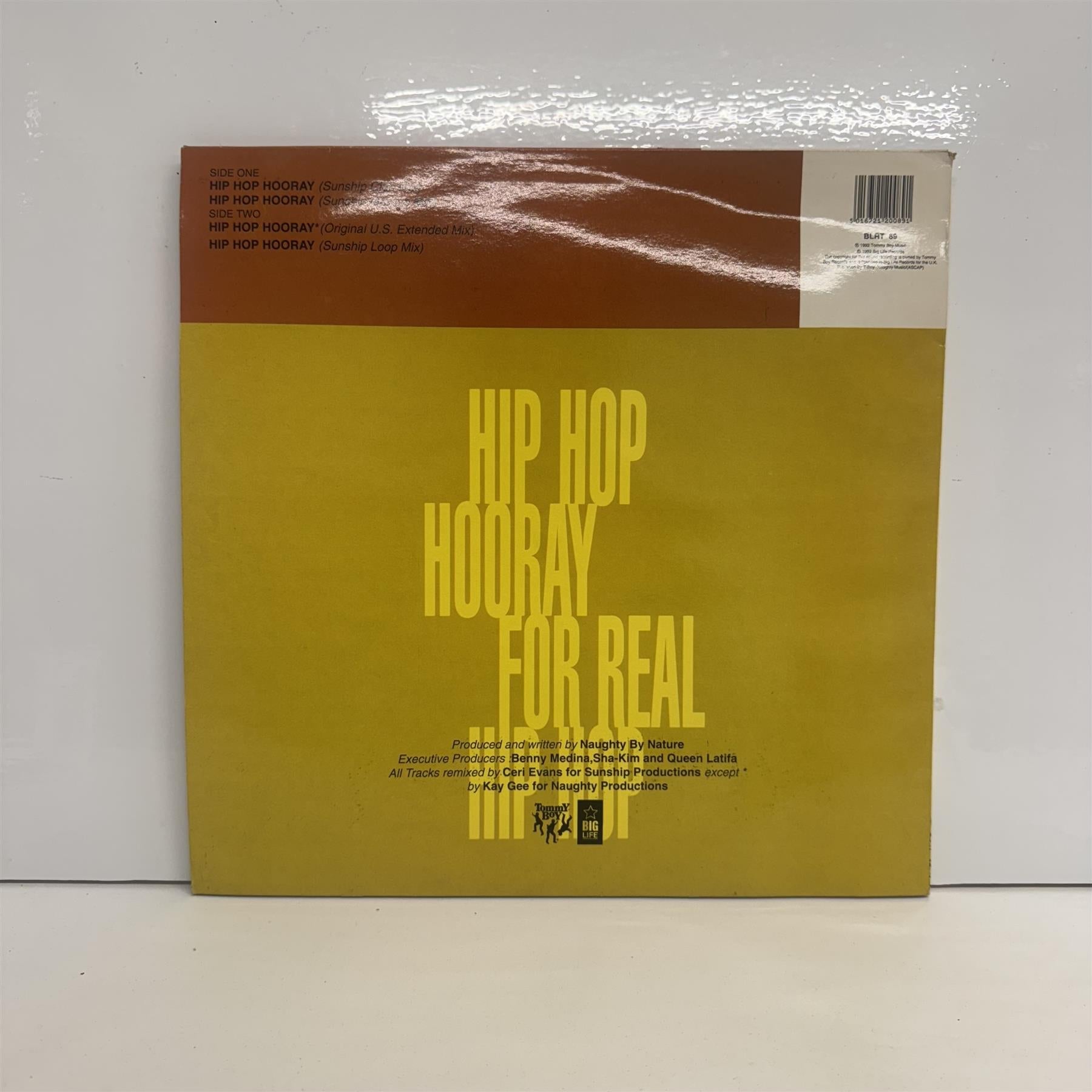 Naughty By Nature - Hip Hop Hooray 12" Vinyl Single
