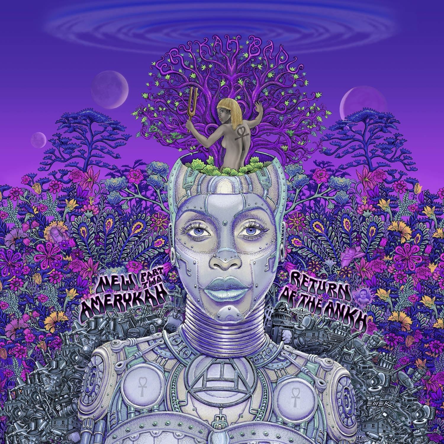 Erykah Badu - New Amerykah Part Two: Return Of The Ankh Limited Edition 2x Violet Vinyl LP Reissue