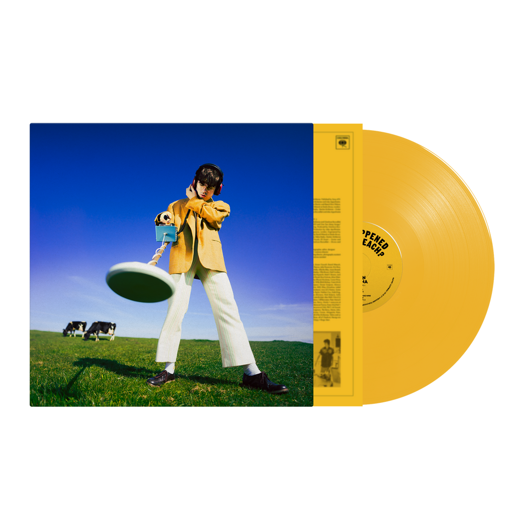 Declan McKenna - What Happened to the Beach?