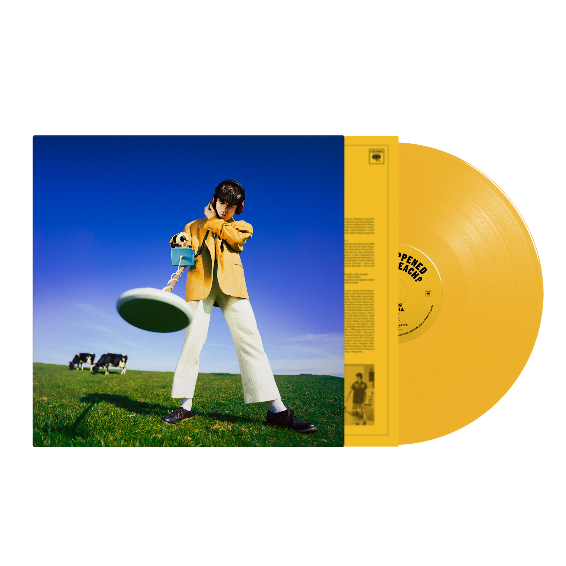 Declan McKenna - What Happened to the Beach?
