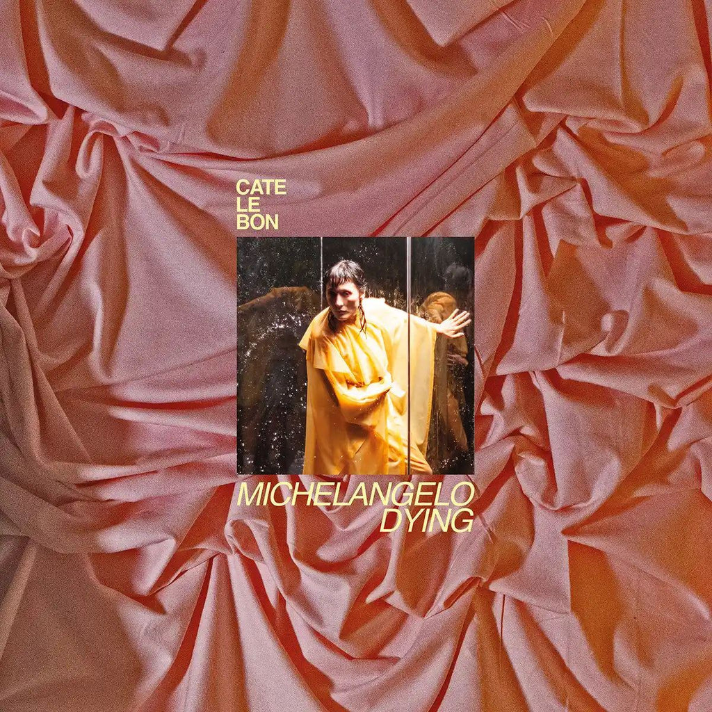 Cate Le Bon - Michelangelo Dying