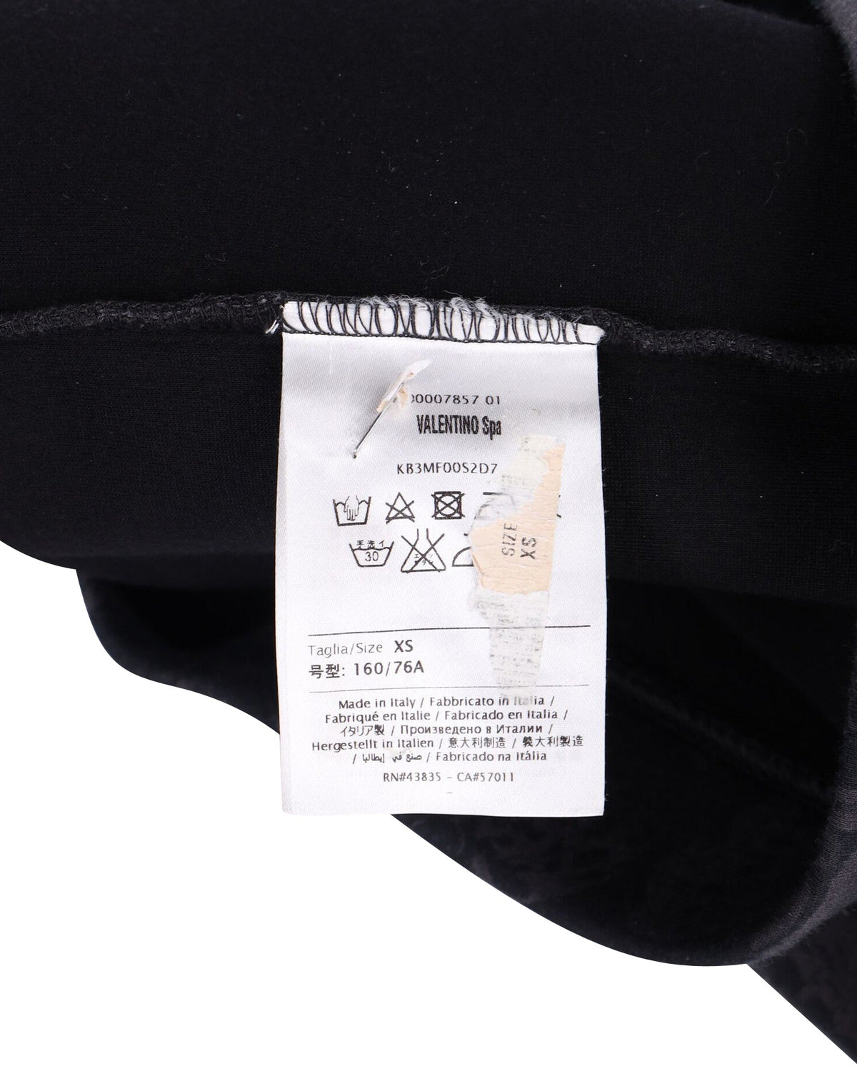 Valentino Butterfly Print Sweatshirt in Grey Cotton