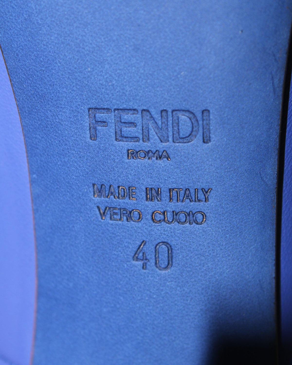 Fendi Pointed Toe Pumps in Blue Leather