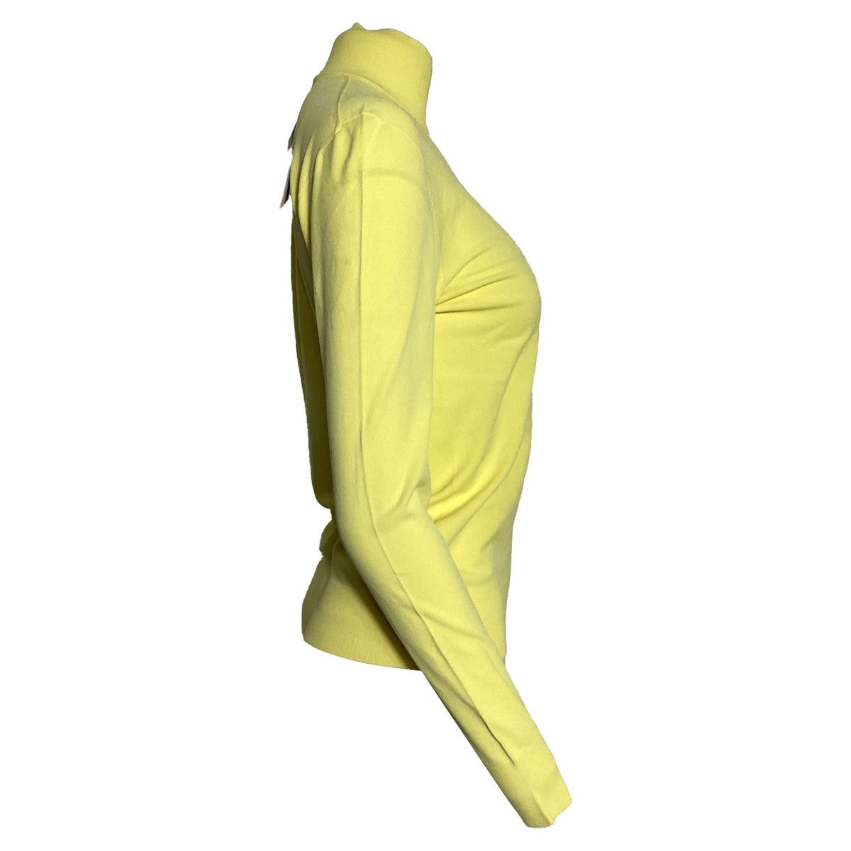 Bottega Veneta Turtleneck Sweater in Yellow Viscose